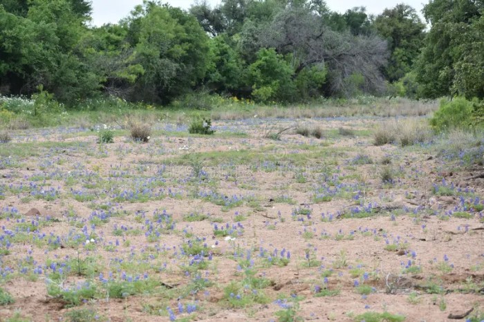 VIP Slot: Waktu Main Lebih Singkat, Hasil Lebih Nyata